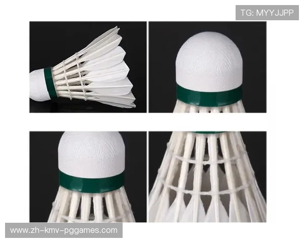 羽毛球胜利哪个球好