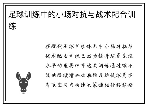 足球训练中的小场对抗与战术配合训练
