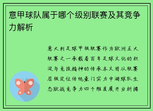 意甲球队属于哪个级别联赛及其竞争力解析