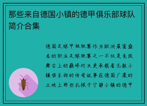 那些来自德国小镇的德甲俱乐部球队简介合集
